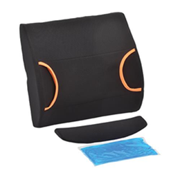 Image of Back Cushion with Hot/Cold Pack 3