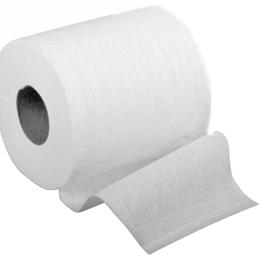 Image of PAPER TOILET 2PLY 500SHEET RE-GTB