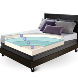 iComfort Savant EverFeel Plush