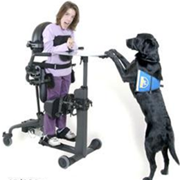 EasyStand Evolv - The Natural Way to Stand EasyStand Evolv - The Natural Way to Stand