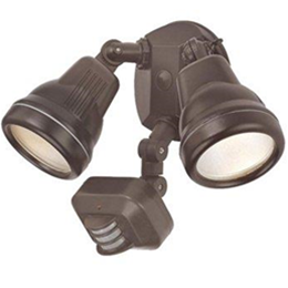 Acclaim Lighting FL55ABZ 2 Light Adjustable Floodlight