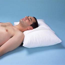 Softeze Allergy Free Standard Pillow 20 x 26