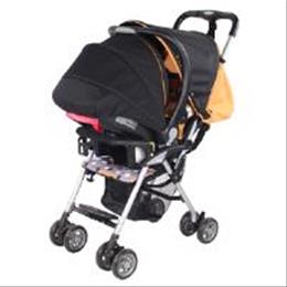 Flare Travel System