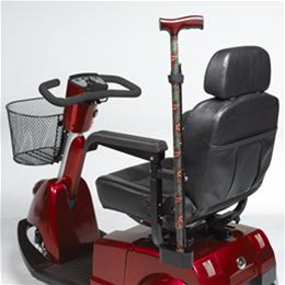 Fortress 1700 DT/TA Scooter