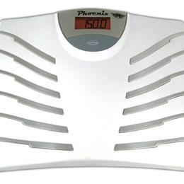 Scale Digital Talking Phoenix