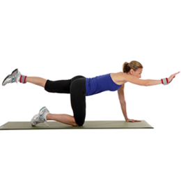 Define & Develop Weights