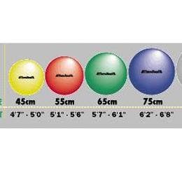 Thera-Band Exercise Ball Thera-Band Exercise Ball