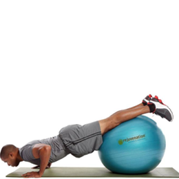 Complete Support & Stability Balls