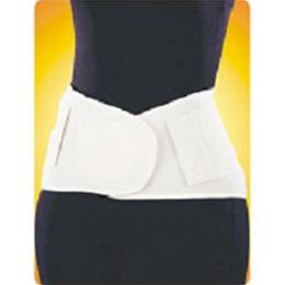 Professional Back Support Professional Back Support