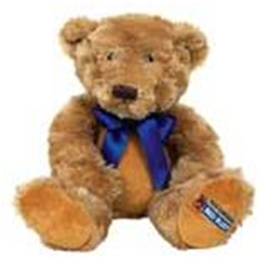 Carex :: Bed Buddy®: The Bed Buddy Bear