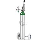 Oxygen Cylinder - 
    Offering a variety of oxygen therapy accessories i