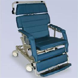 Image of Barton Transfer Chair