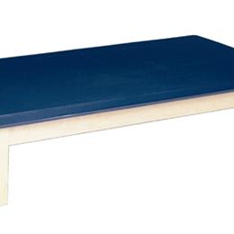 Upholstered Mat Table 3X6'x20 w/2 Mat