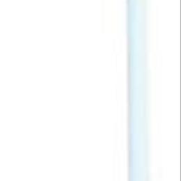 Cane Non-Folding Blind Man's