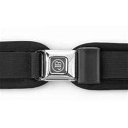 Hip Belt, 1.5 Basic 4-Point Y-Style, Padded, PB Security