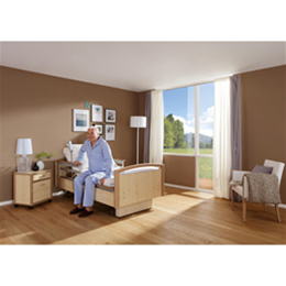 Sentida Low Hospital Bed