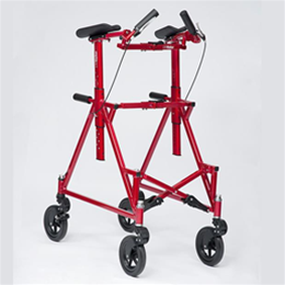 LifeWalker Upright LifeWalker Upright