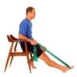 TheraBand® Muli-Band Patient Packs TheraBand® Muli-Band Patient Packs