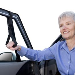 Standers, Inc. :: Car Caddie Helping Hand
