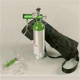 Roscoe Medical :: B Cylinder Portable System