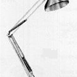 Cool Shd Incan Lamp W/ Adj Arm 8 Dia W/ Cast Base-Chrome