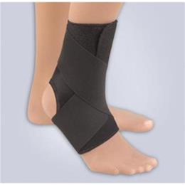 View our products in the Ankle and Foot category