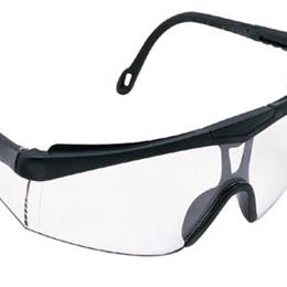 Safety Spectacles Black Frame Safety Spectacles Black Frame