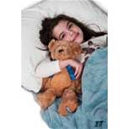 Image of Bed Buddy®: The Bed Buddy Bear 3