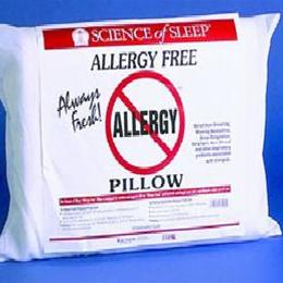 Allergy-free Pillow