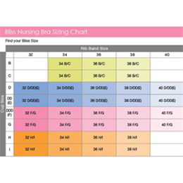 The Bliss Nursing Bra