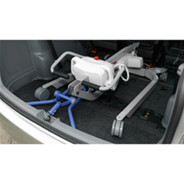 ArjoHuntleigh Maxi Lite