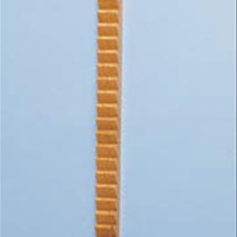 Shoulder / Finger Exercise Ladder