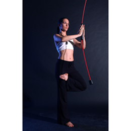 Flexi-Bar Vibration Therapy Exerciser